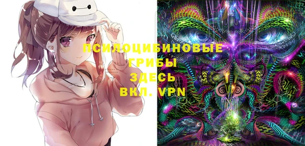 шишки Приозерск