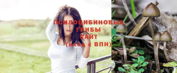 шишки Приозерск