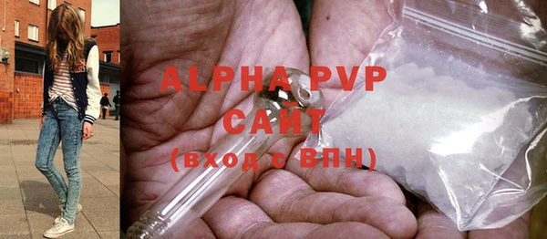 шишки Приозерск