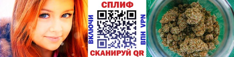 где купить наркоту  Галич  Бошки Шишки план 